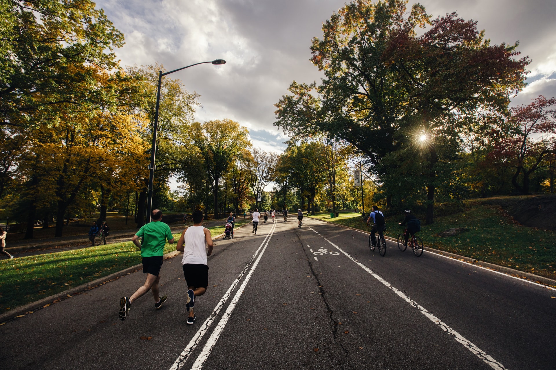 chanan-greenblatt-7FAhq93_Ir8-unsplash