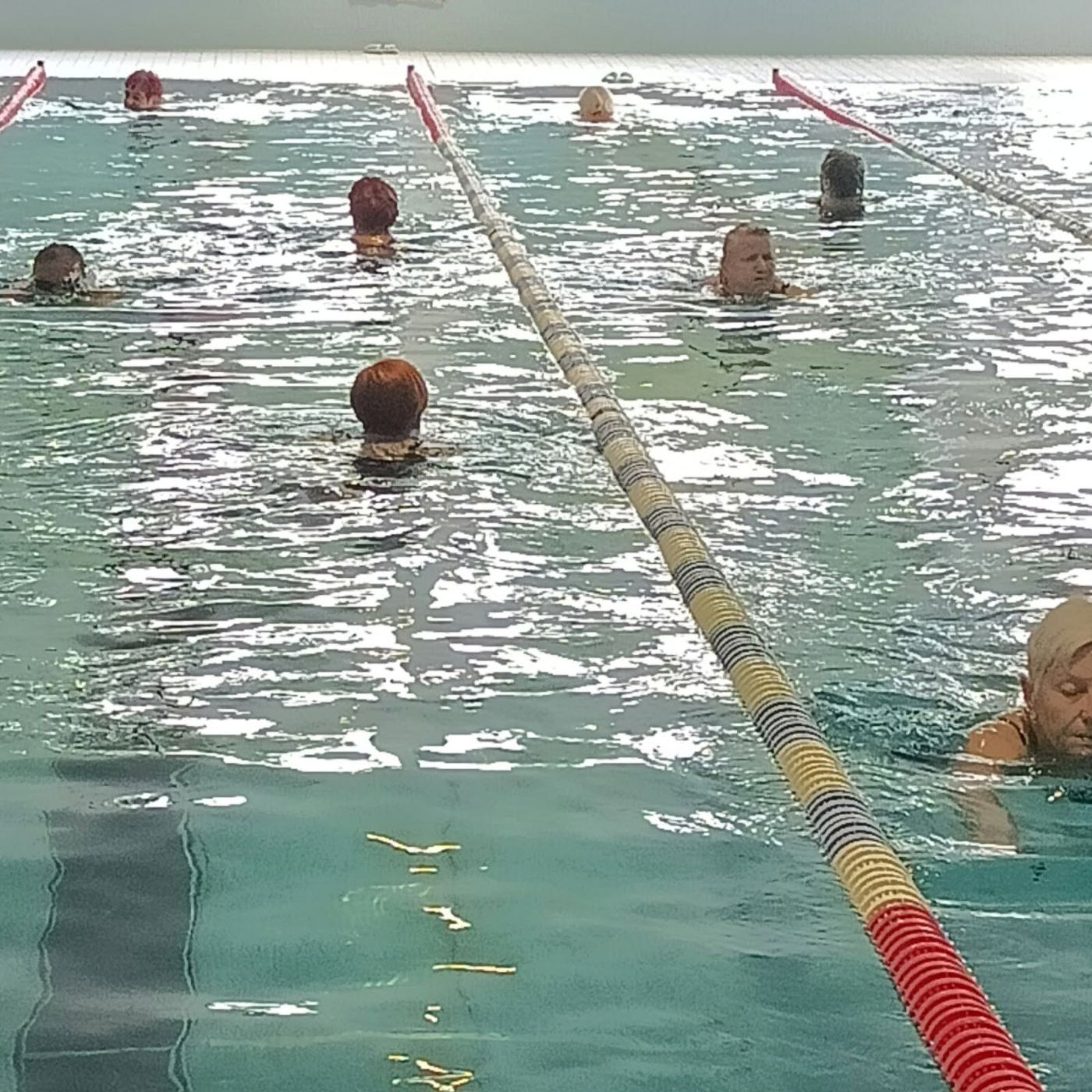 AquaFit Seniors